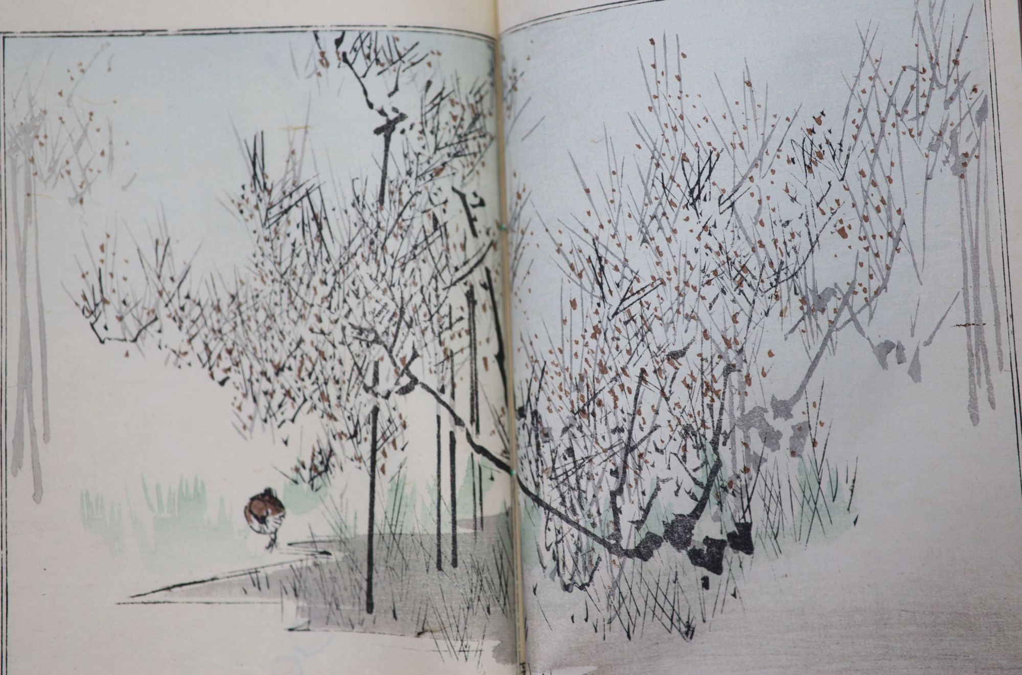 Seven Japanese colour woodblock illustrated books, 19/20th century, including after Hokusai